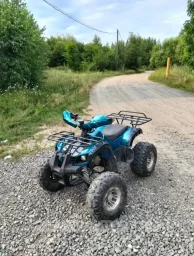 Grizzly 125 0